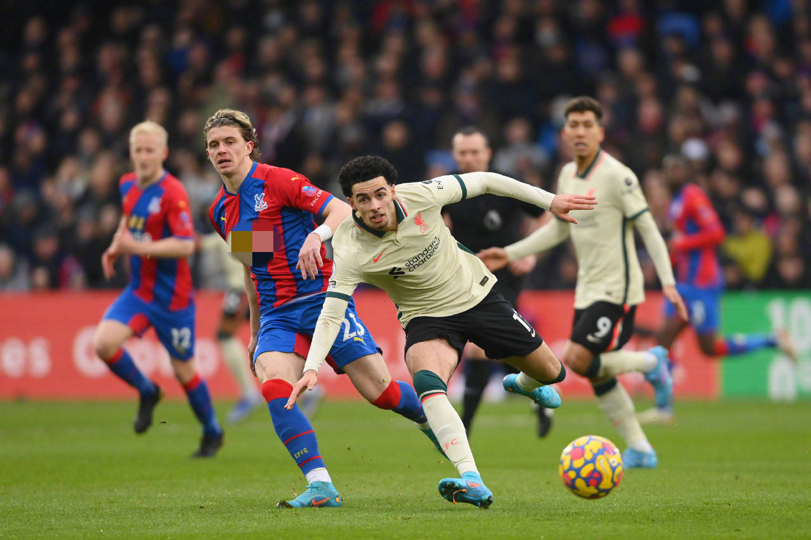 德甲冠军 德甲冠军